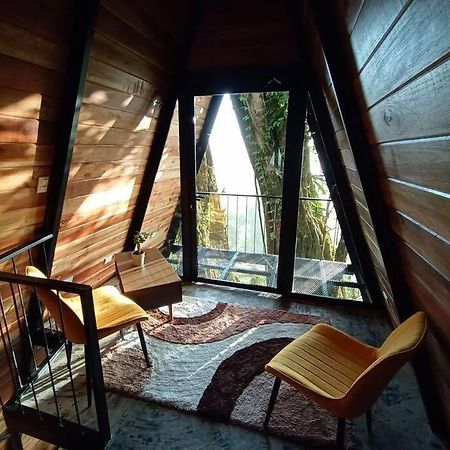 モンテベルデ Casa Del Arbolヴィラ エクステリア 写真