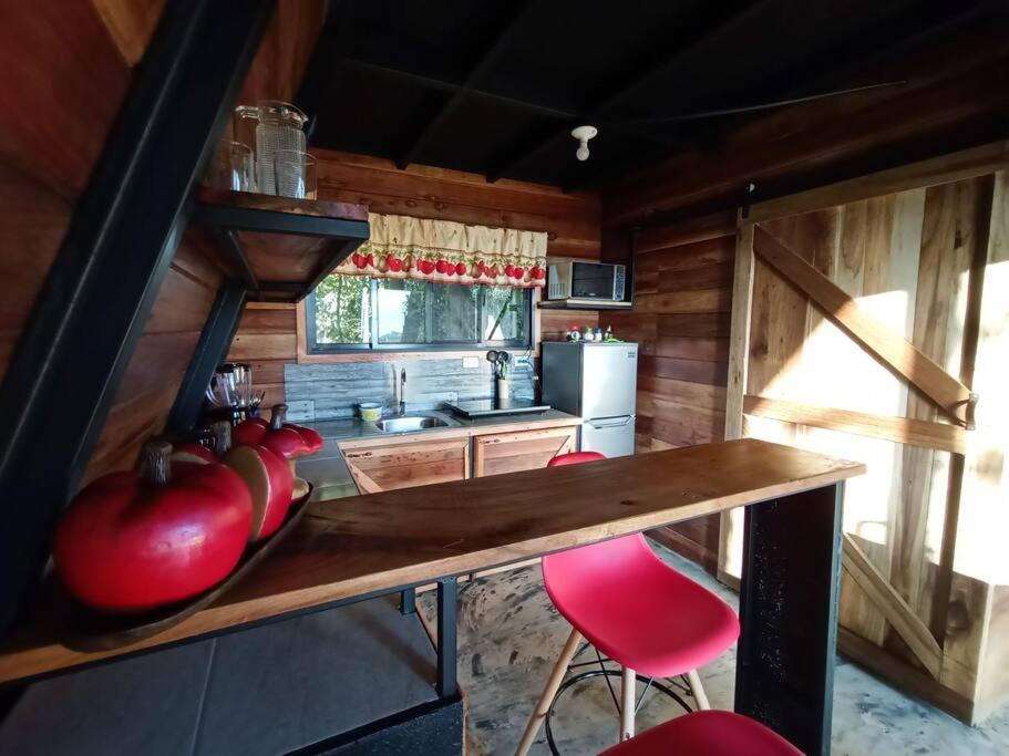 モンテベルデ Casa Del Arbolヴィラ エクステリア 写真