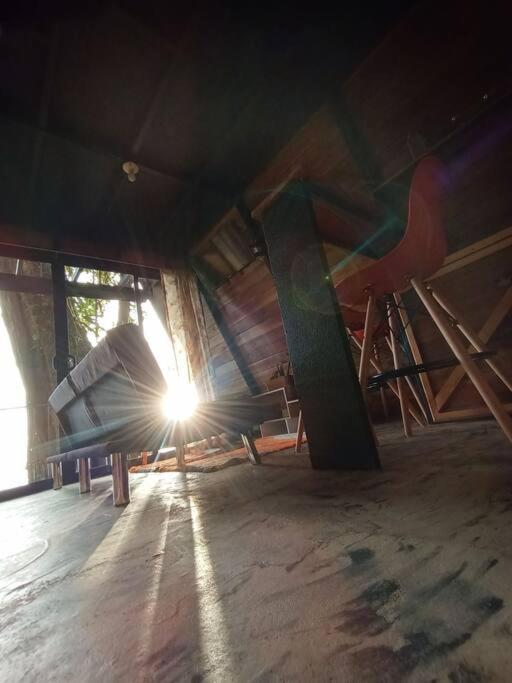 モンテベルデ Casa Del Arbolヴィラ エクステリア 写真