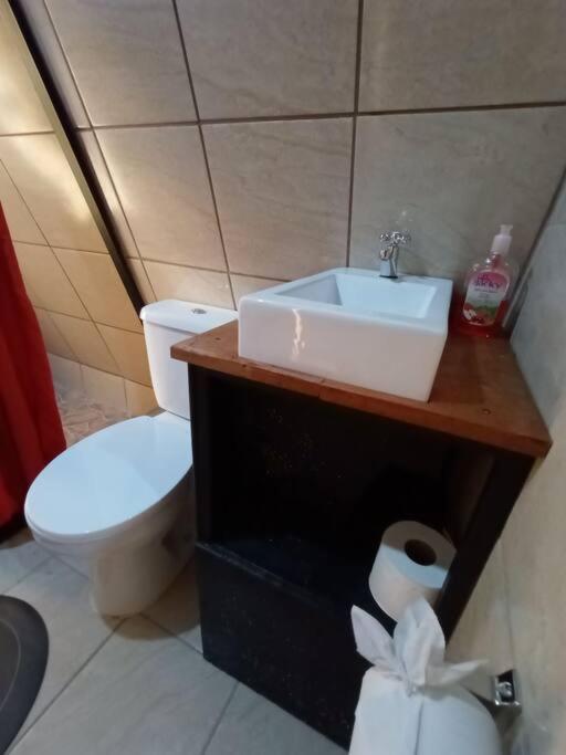 モンテベルデ Casa Del Arbolヴィラ エクステリア 写真