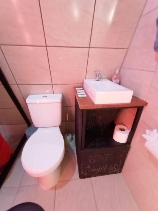 モンテベルデ Casa Del Arbolヴィラ エクステリア 写真